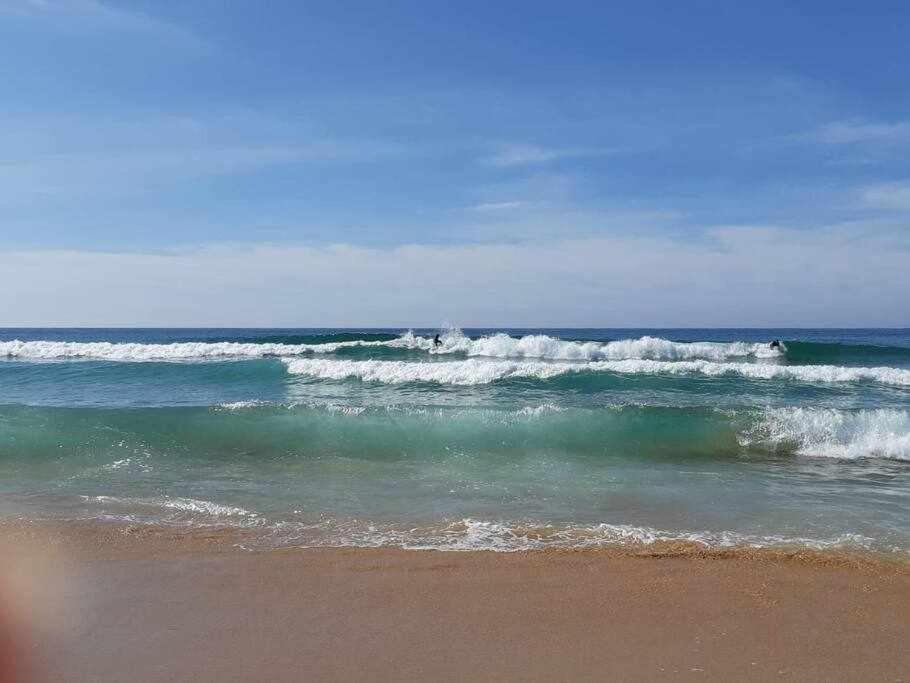 Apartamento A 150M De La Playa Wifi Gratis เดเนีย ภายนอก รูปภาพ